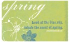 Various Chipboard My Mind's Eye Bohemia Backyard Spring Quote