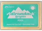 Turquoise Ink Ranger Adirondack Brights Pool